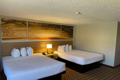 Days Inn by Wyndham Fayetteville-South/I-95 Exit 49 image 35